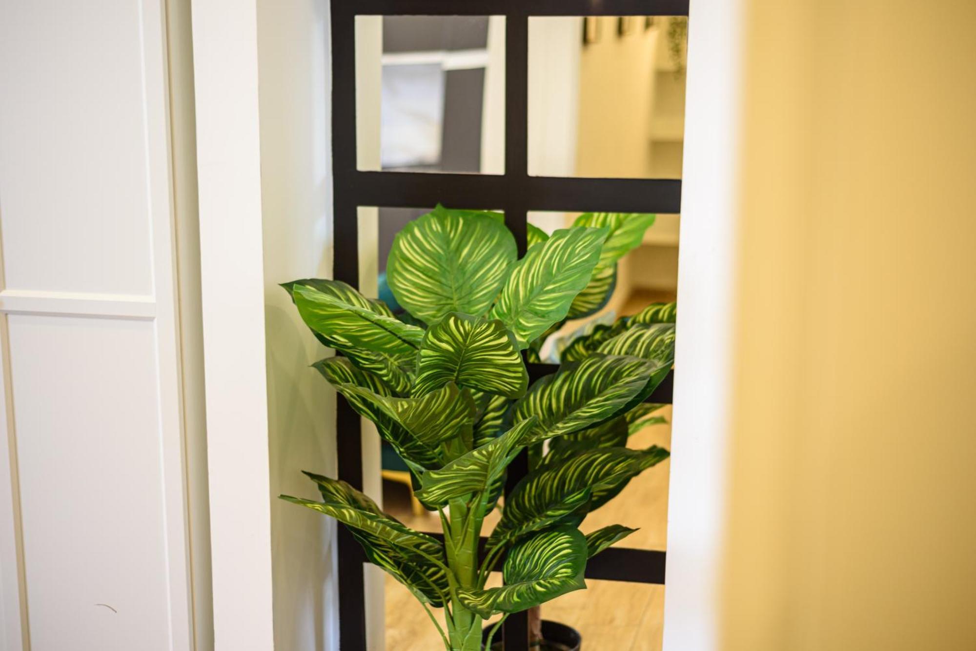 Appartamento Luxury In Napoli